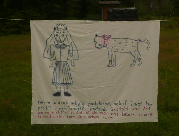 sumava4