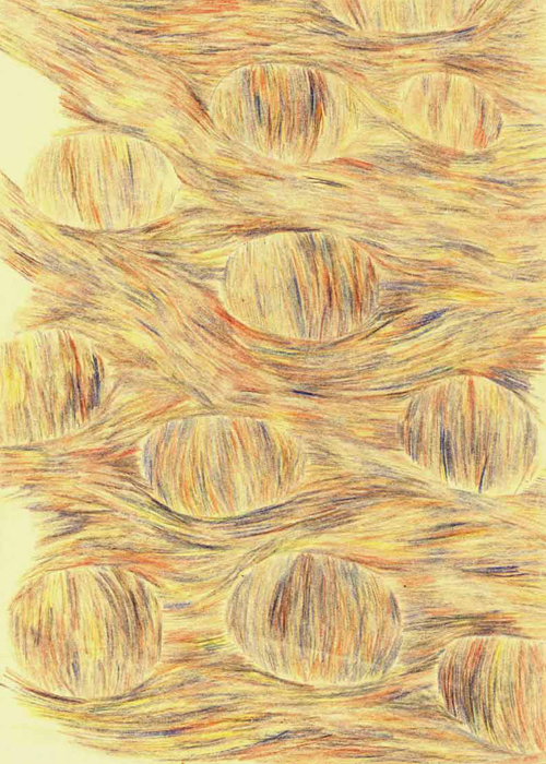 kresba2