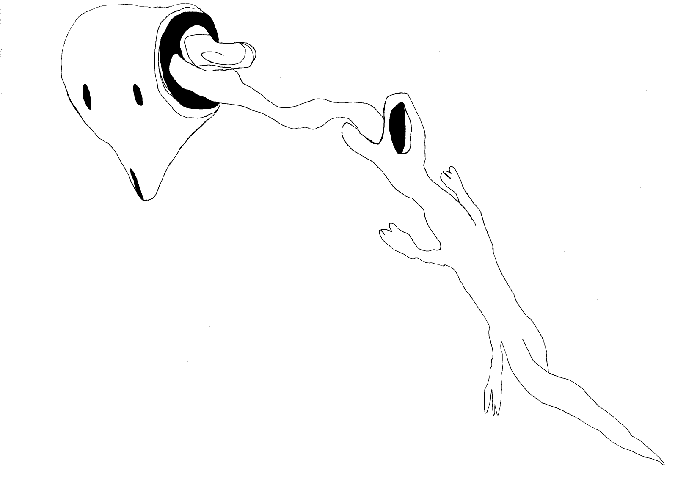 mozkozrout