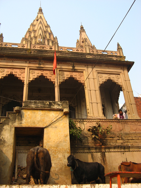 Varanasi 4.jpg