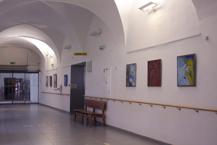 exhibition of a bachelor's thesis on the topic of oppression, exhibition in a military hospital, exhibition of horses in a military hospital in Brno