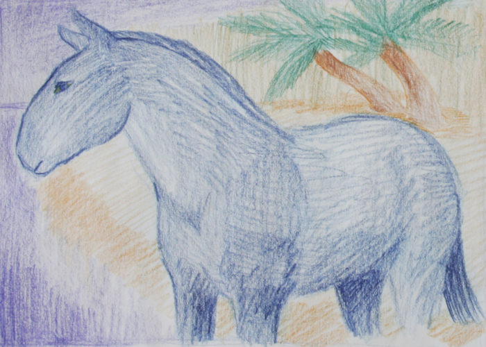 kresba koně, prismacolour, barevný kůň, Lištica