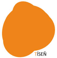 tisen logo