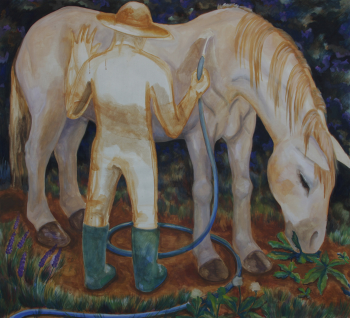 Malba koně, péče o koně, mytí koně, kůň na zahradě, Lištica