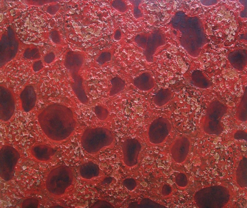 Buňky, tkáně / email, olej, akryl, překližka / 70,5 x 60,5 cm / 2015