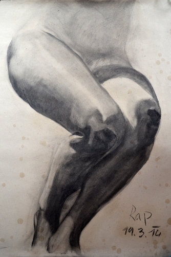 Studie kolen