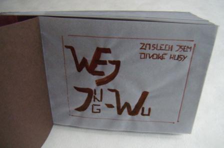 Wej Jing-Wu: „Zaslech jsem divoké husy“