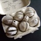 Emily Dickinson: „Egg“