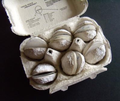 Emily Dickinson: „Egg“