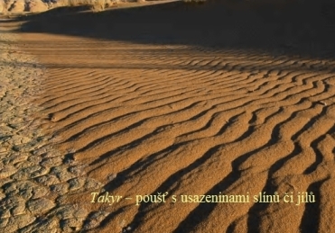 Kniha o poušti