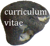 CV