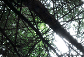socha: image 10 0f 16