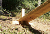 socha: image 4 0f 16