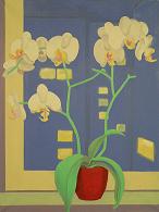 orchidej 
