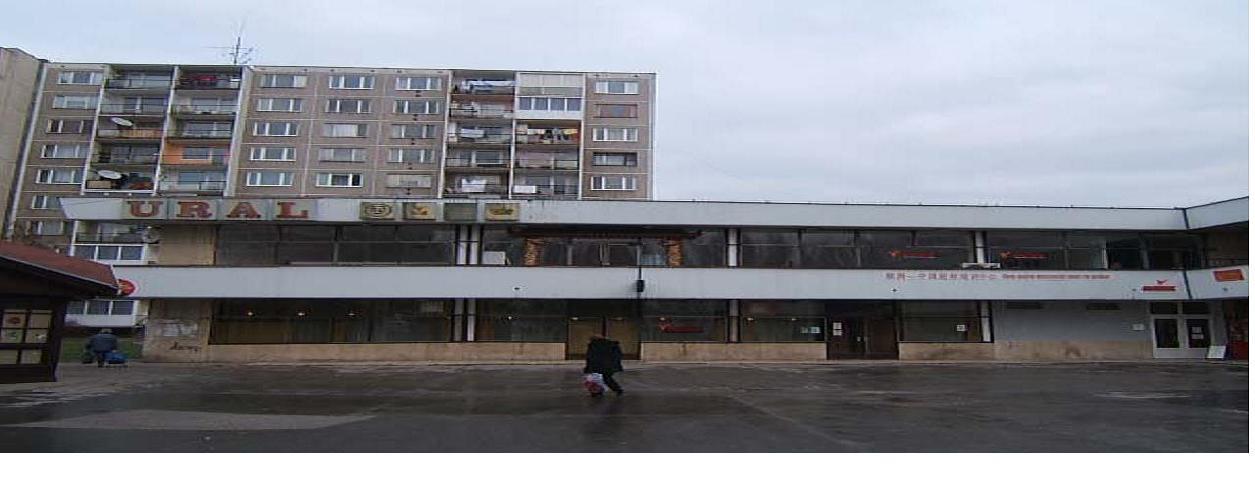 orchydej 